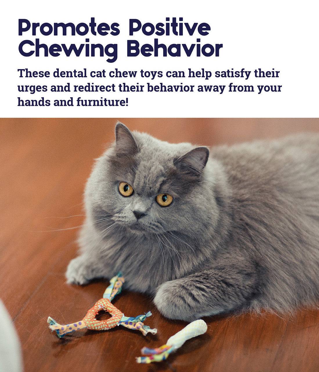 Petstages Catnip Dental Health Chew - 2 Pack - The Pet Source