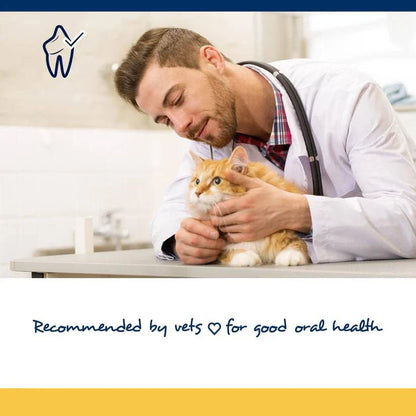 NaturVet ProDen PlaqueOff Cat Soft Chews - 45ct - The Pet Source