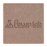 PolypLab Genesis Rock 4 Pack