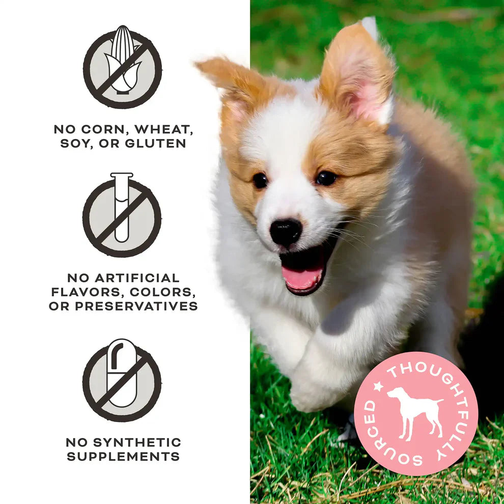 Primal Freeze Dried Raw Dog Treats Peelin’ Fantastic Chicken, Banana & Goat Milk - 2oz