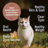 Primal Freeze Dried Raw Nuggets Cat Food Beef & Salmon Recipe - 5.5oz