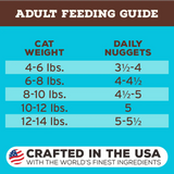 Primal Freeze Dried Raw Nuggets Cat Food Chicken & Salmon Recipe - 14oz