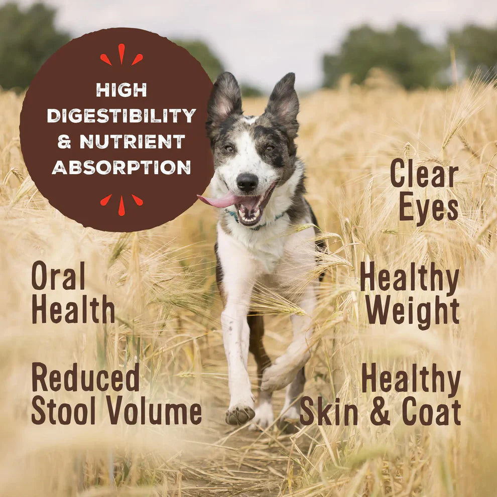 Primal Freeze Dried Raw Nuggets Dog Food Beef Recipe - 14oz