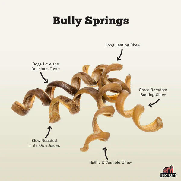 Redbarn Bully Spring Dog Chew - 1pc