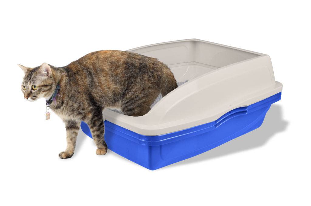 Van Ness Sifting Cat Pan Framed - The Pet Source