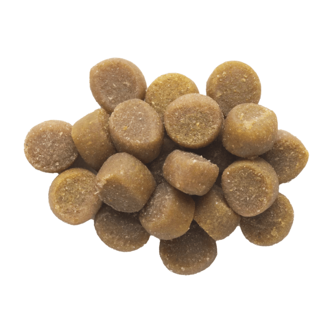 Zuke’s Puppy Naturals Salmon Recipe Dog Treats - 5 oz - The Pet Source