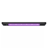 AquaIllumination Blade Coral Glow 12"