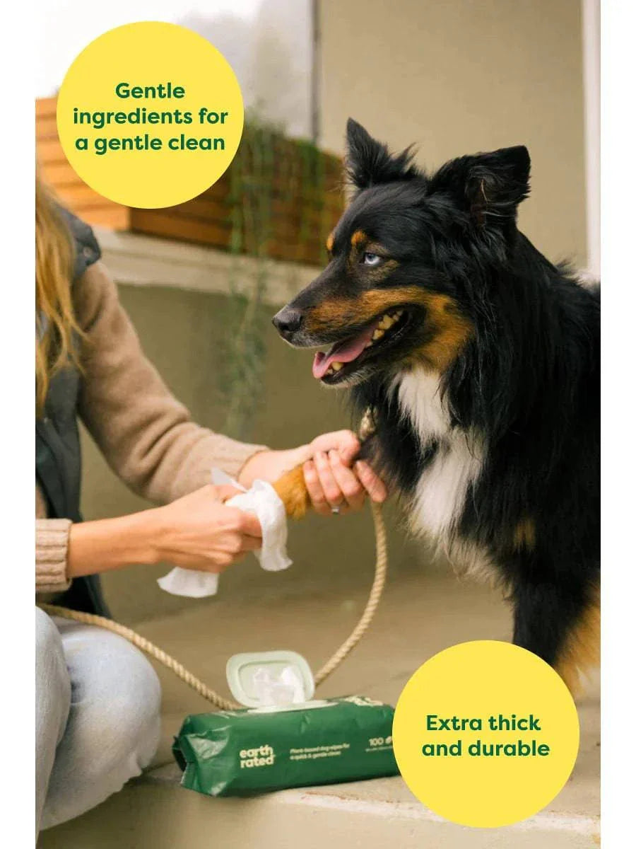 earth rated Plant-Based Dog Grooming Wipes Lavender - 100 Wipes - The Pet Source