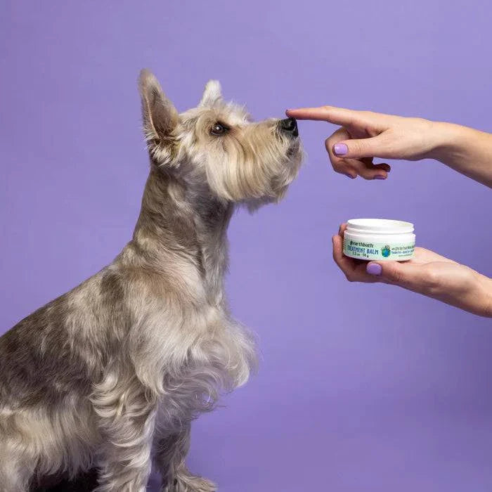 earthbath Treatment Balm For Cats & Dogs - 2.2oz - The Pet Source