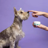 earthbath Treatment Balm For Cats & Dogs - 2.2oz - The Pet Source