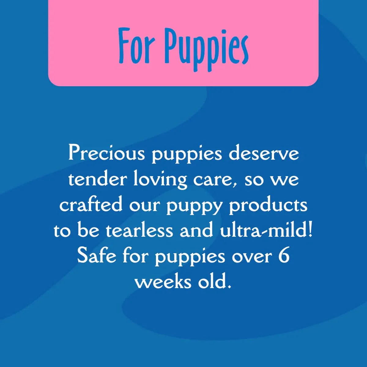 earthbath Puppy Wipes - 100 Wipes - The Pet Source