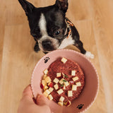 Faim Museau Beef & Apple Raw Frozen Dog Food - 6lb