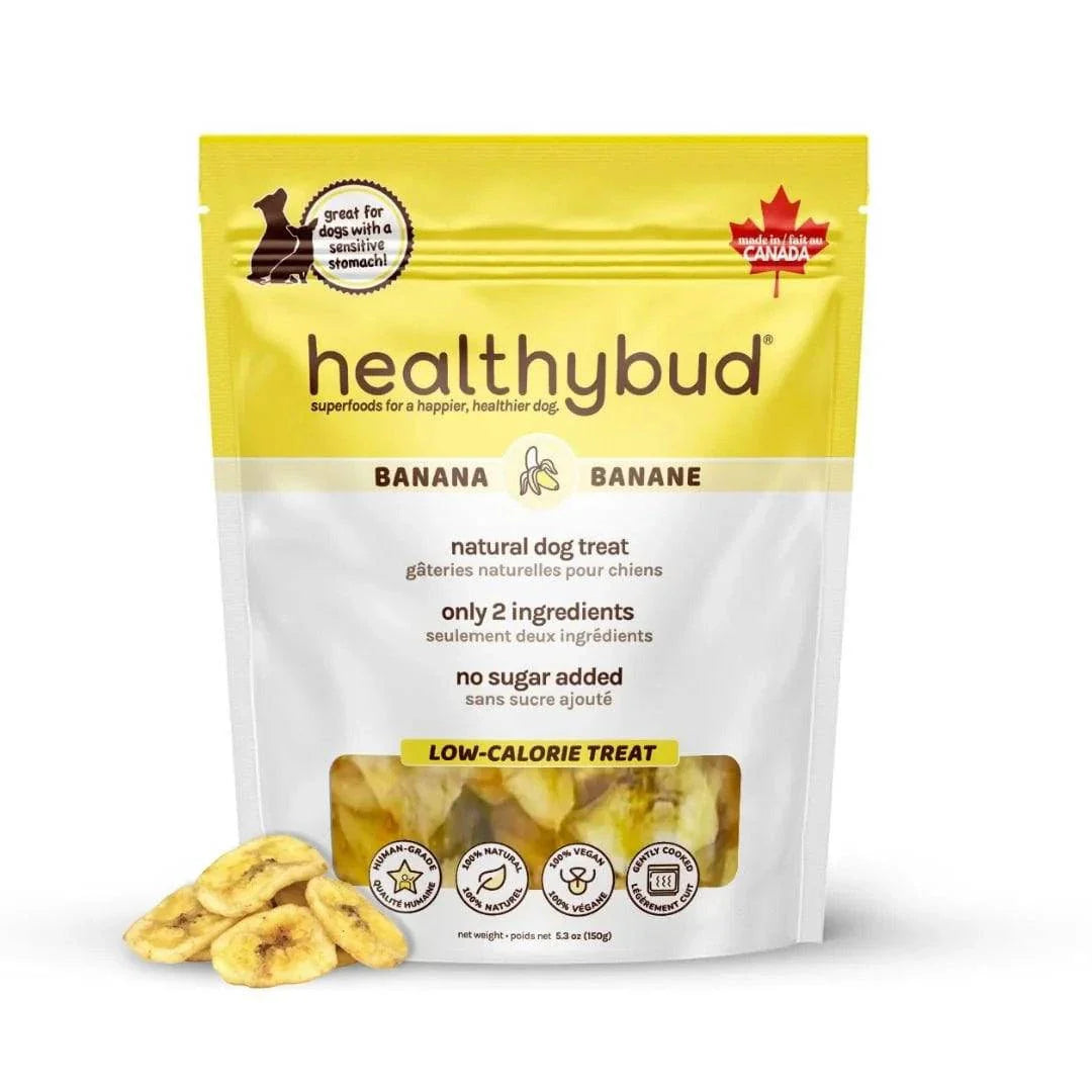 Healthybud All Natural Banana Chips Dog Treats - 150g - The Pet Source