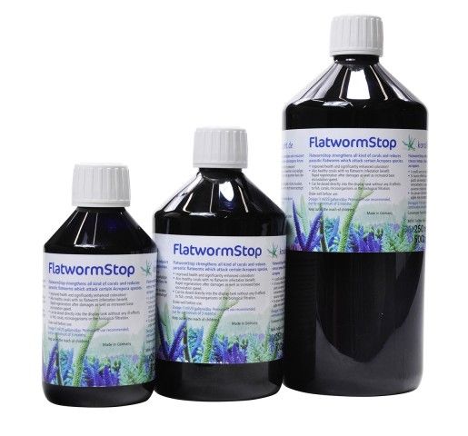 Korallen-Zucht Flatworm Stop 500ml