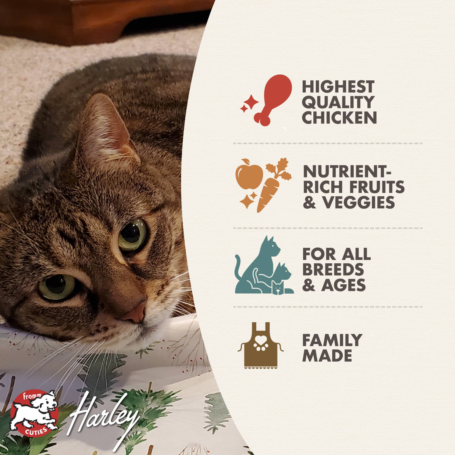 Fromm Chicken au Frommage Recipe Dry Cat Food - 1.8kg