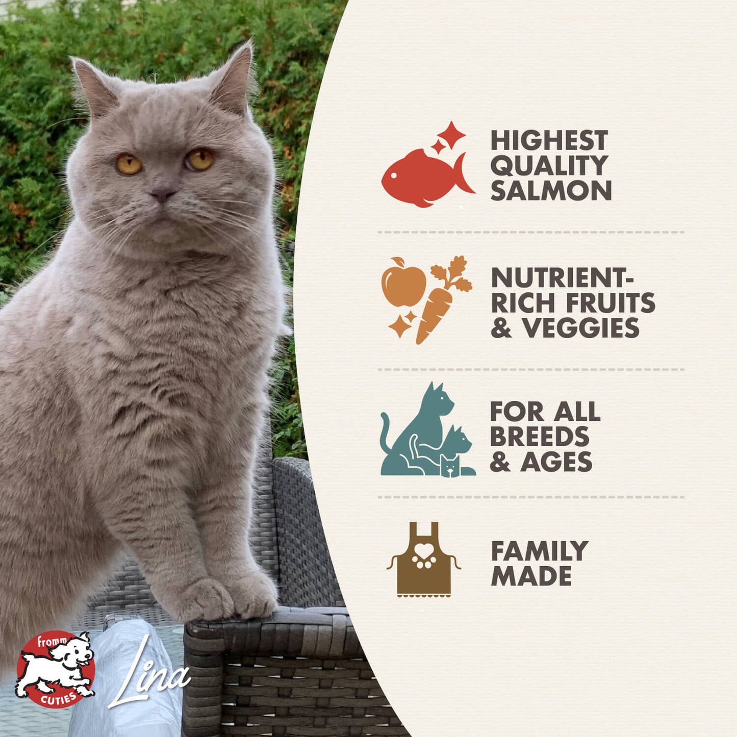 Fromm Salmon Tunachovy Recipe Dry Cat Food - 4.54kg