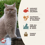 Fromm Salmon Tunachovy Recipe Dry Cat Food - 4.54kg