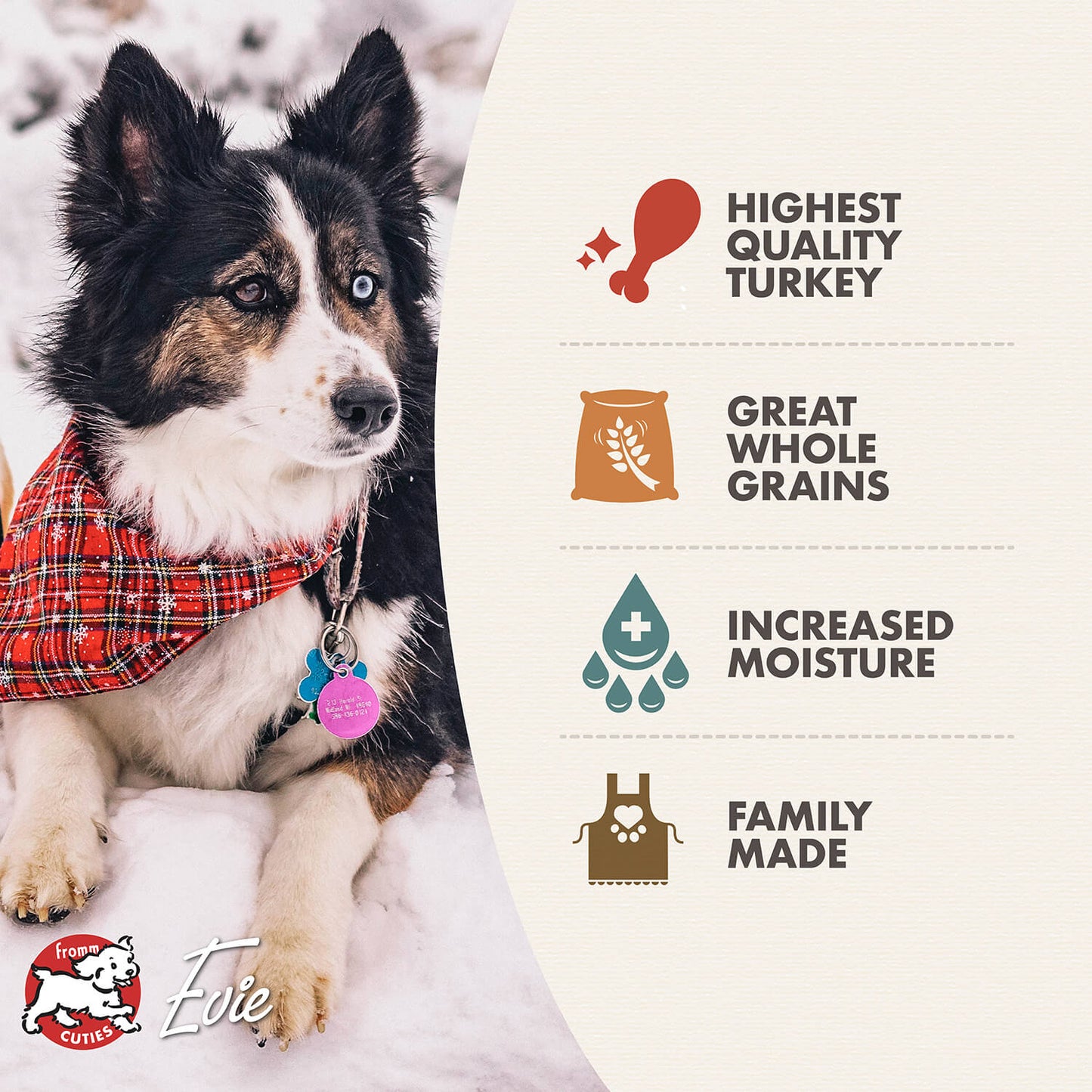 Fromm Turkey Pâté Wet Dog Food - 12.2oz