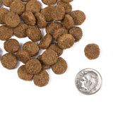 Fromm Classic Adult Dry Dog Food - 2.3kg