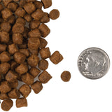 Fromm Surf & Turf Recipe Dry Cat Food - 4.54kg