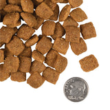 Fromm Adult Gold Dry Dog Food - 2.3kg