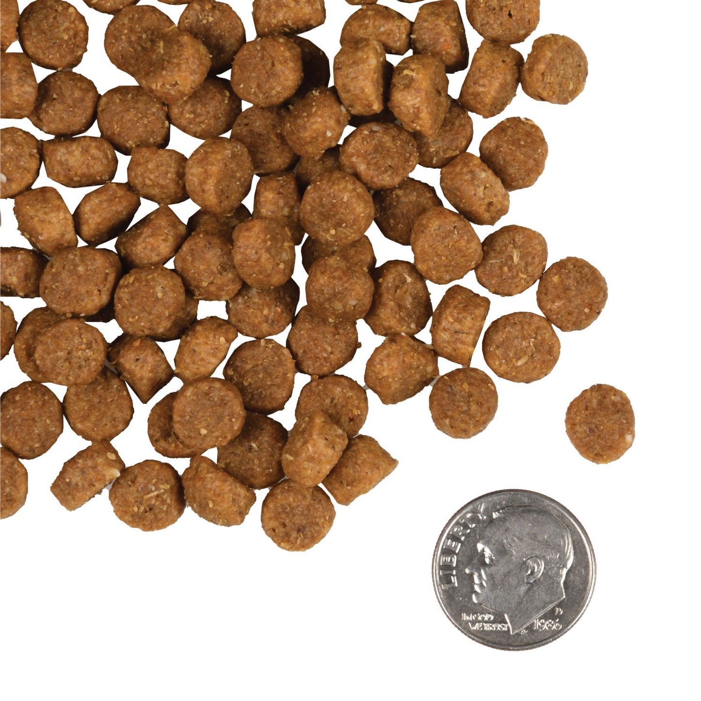 Fromm Puppy Gold Dry Dog Food - 2.3kg