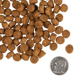 Fromm Puppy Gold Dry Dog Food - 2.3kg