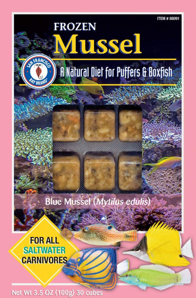 San Francisco Bay Brand Frozen Mussel Cube - 3.5oz