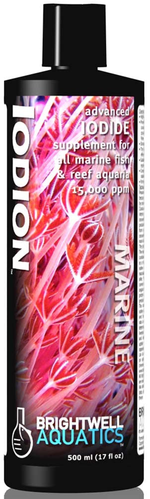 Brightwell Iodion Advanced Iodide Supplement 17oz