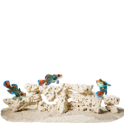 CaribSea South Seas Base Shelf Rock 40lb
