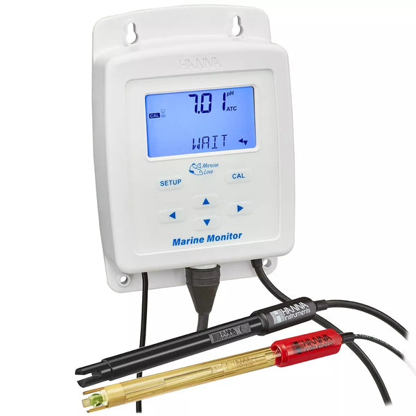 Thermomètre compact avec sonde lestée, câble 3 m - Pool Line - HANNA  Instruments