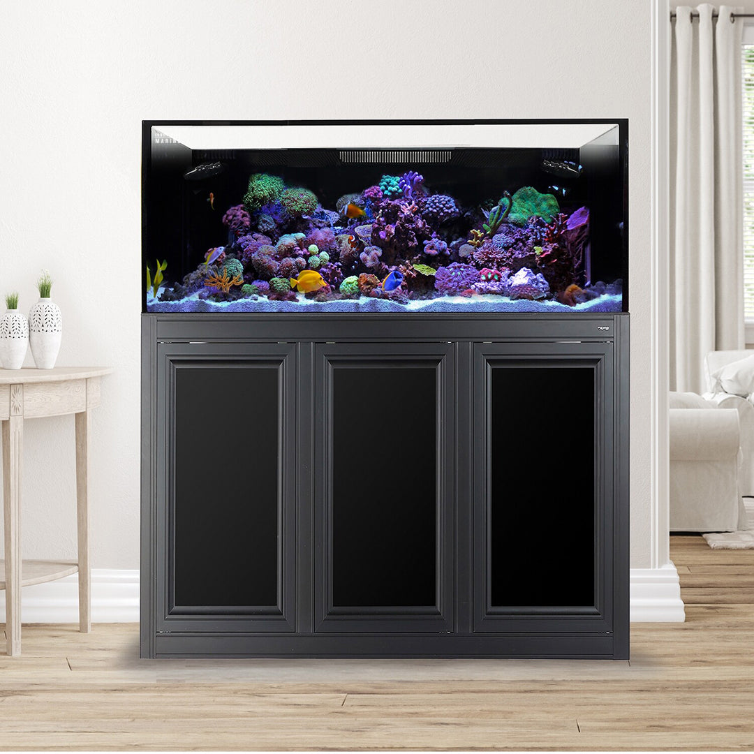 Innovative Marine EXT 100 Gallon Complete Reef System - Black