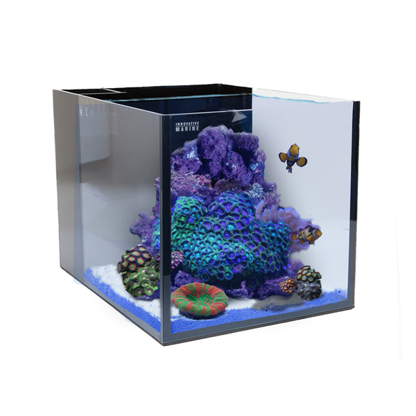 Innovative Marine NUVO Fusion - 15 AIO Cube Aquarium - Desktop Starter