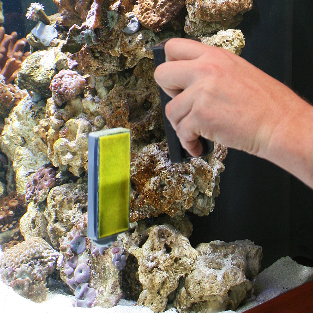 Aqueon Algae Cleaning Magnet - Large