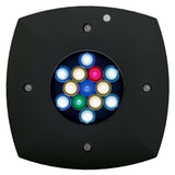 AquaIllumination Prime 16 LED Light Freshwater - Black
