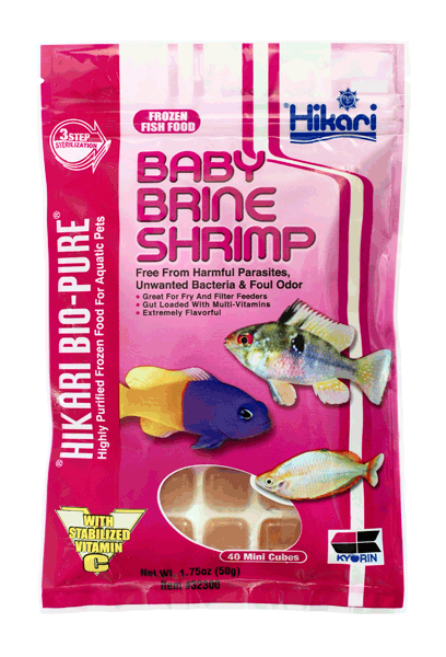 Brine shrimp 2024 for freshwater fish