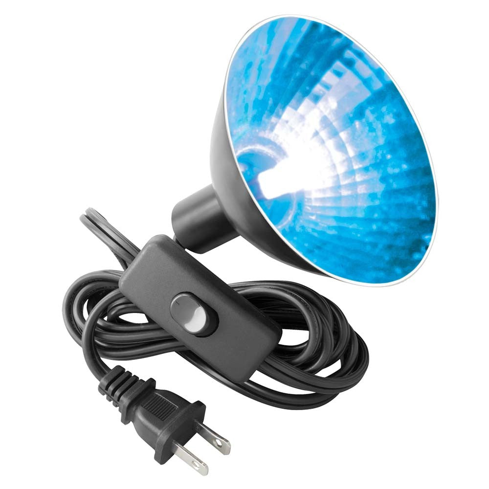 Zilla Halogen Mini Lamp Blue - 25 W
