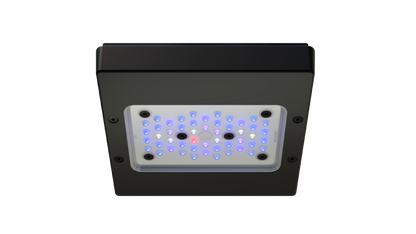 EcoTech Marine Radion XR15 Blue G6 Fixture - 100W