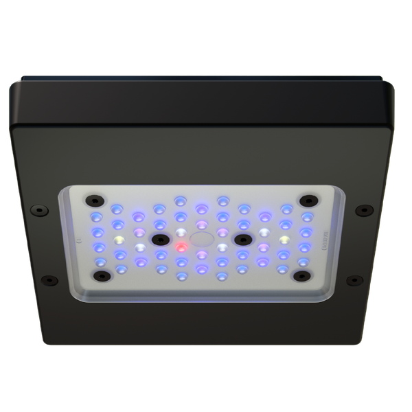 ライト・照明器具 EcoTech Marine Radion G5 XR15 Blue Ecotech Marine Radion XR15 Blue G5