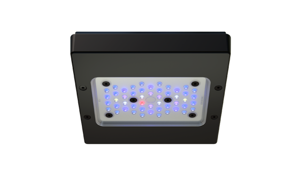EcoTech Marine Radion XR15 Blue G6 Fixture - 100W – Aquarium