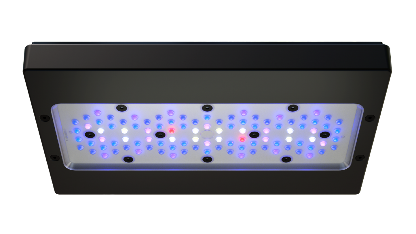 EcoTech Marine Radion XR30 Blue G6 Fixture - 205W