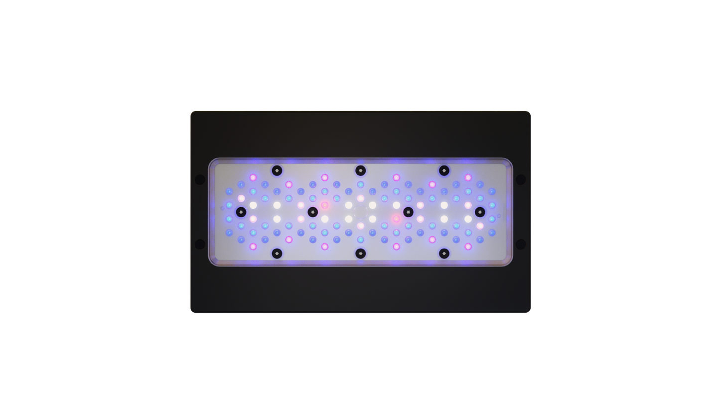 EcoTech Marine Radion XR30 Blue G6 Fixture - 205W