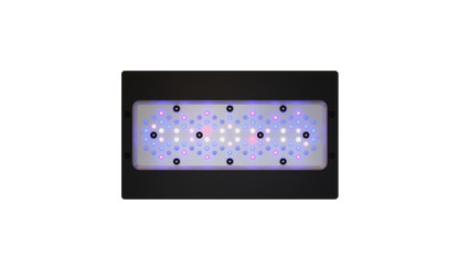 EcoTech Marine Radion XR30 Blue G6 Fixture - 205W