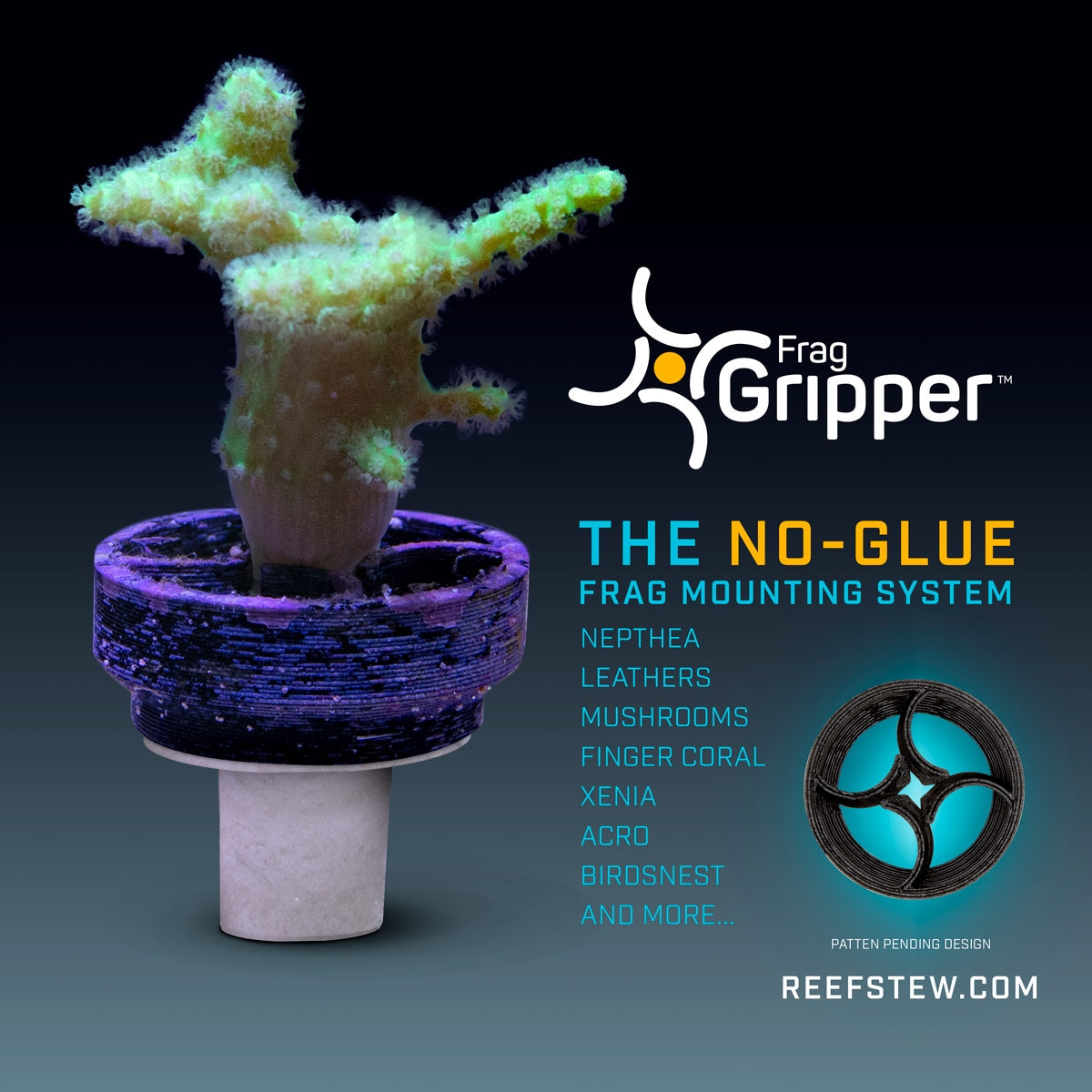 Frag Gripper by Reef Stew - The No Glue Frag Mounting System