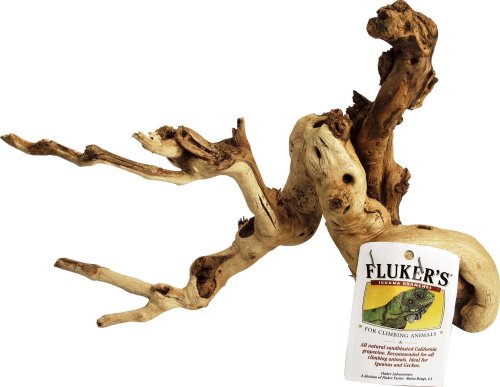 Fluker’s Iguana Branch - Small
