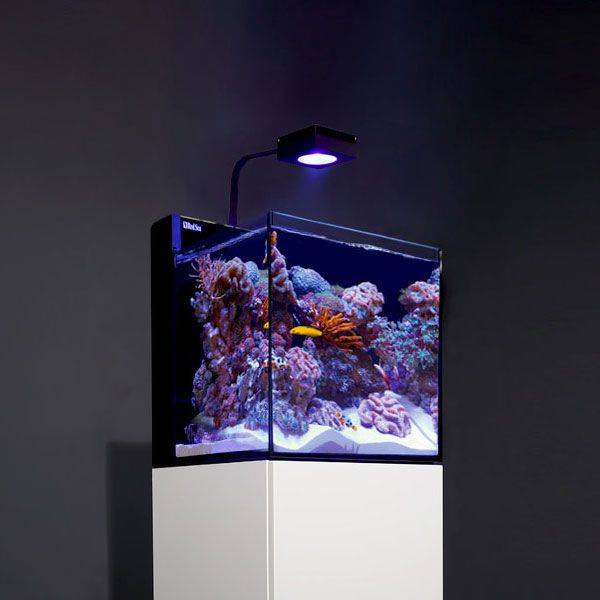 Red Sea MAX NANO Complete Reef System 20 gal - White