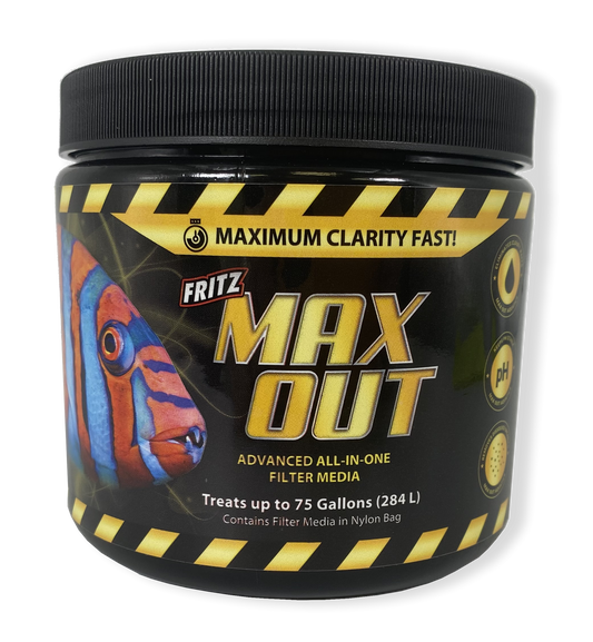 Fritz MaxOut