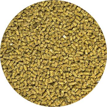 Zoo Med Natural Bearded Dragon Food - Adult Formula 20 oz