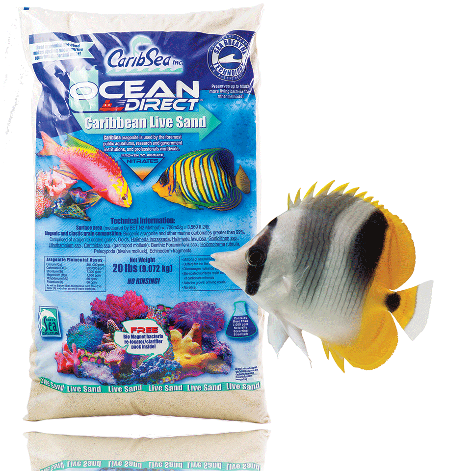 CaribSea Ocean Direct Live Sand Original Grade - 20lb