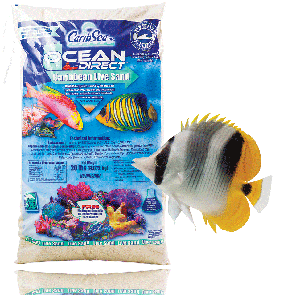 Nature's ocean live sand hot sale